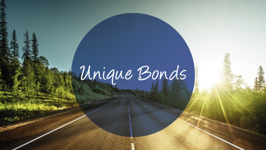 Banner unique bonds 04